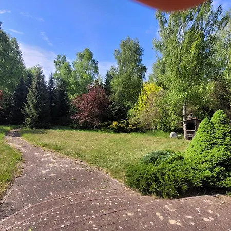 Bukowinka - Dom Pod Lasem * Biale Bloto (Olesnica)