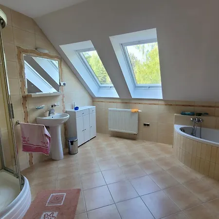 Bukowinka - Dom Pod Lasem 別荘 *