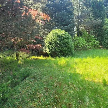 別荘 Bukowinka - Dom Pod Lasem *