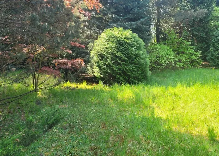 Prázdninový dům Bukowinka - Dom Pod Lasem *